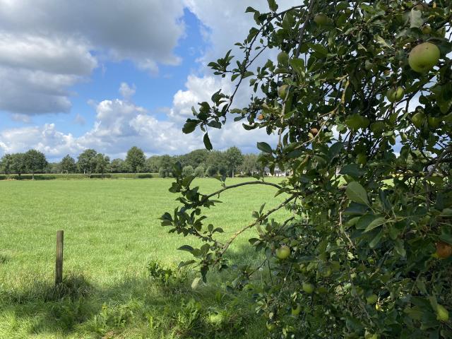 buitengebied mill de meerehoeve Groen buitengebied in Mill - De Meerenhoeve